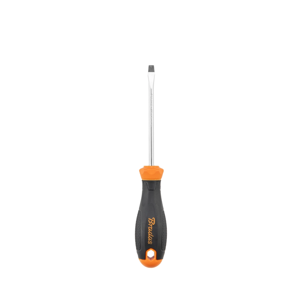 ATSUKTUVAS PLOKŠČIAS BRADAS DIY-SL105100 SL5 / 100MM