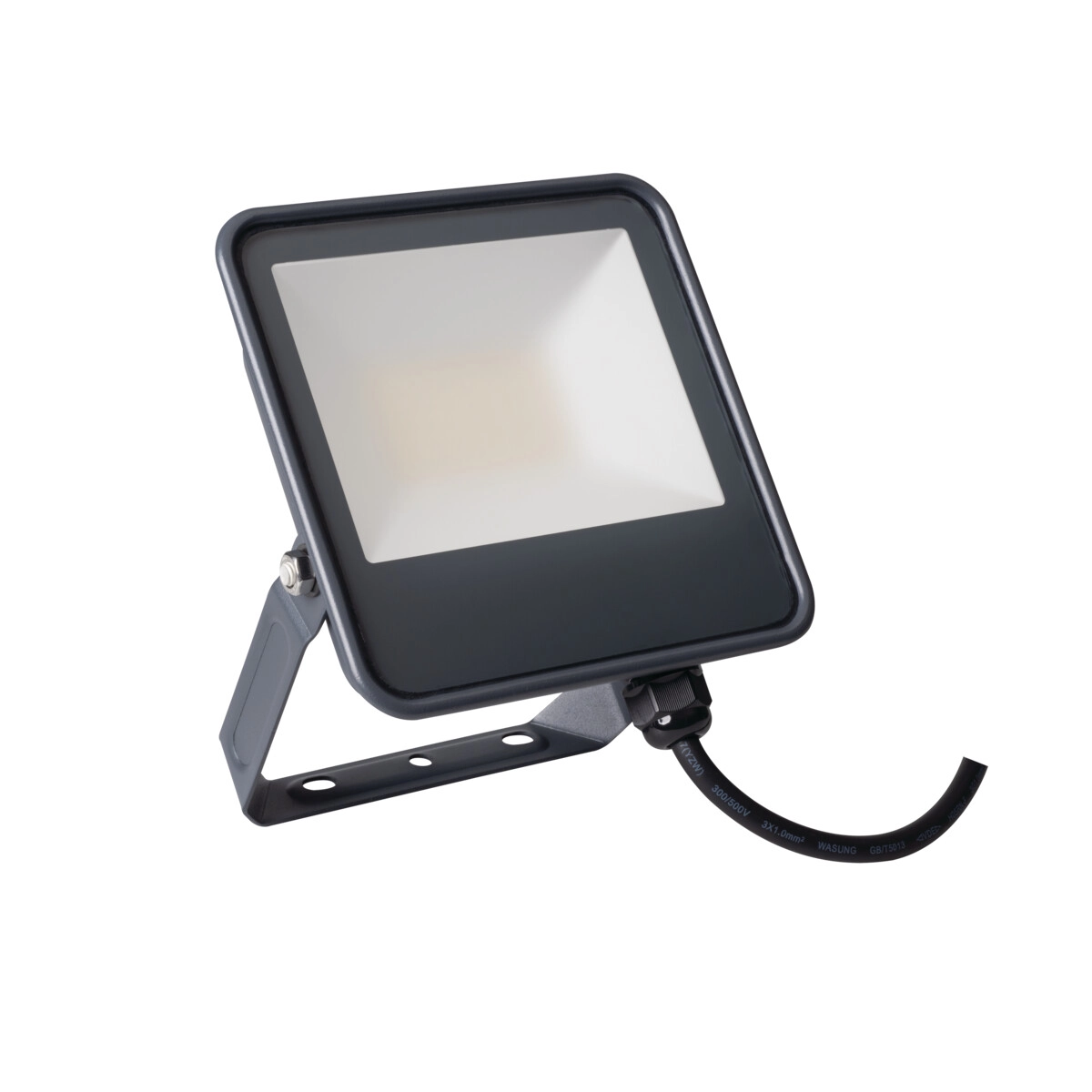 PROŽEKTORIUS LED IQ-LED EL-30W-NW 3450LM 4000K IP65 KANLUX