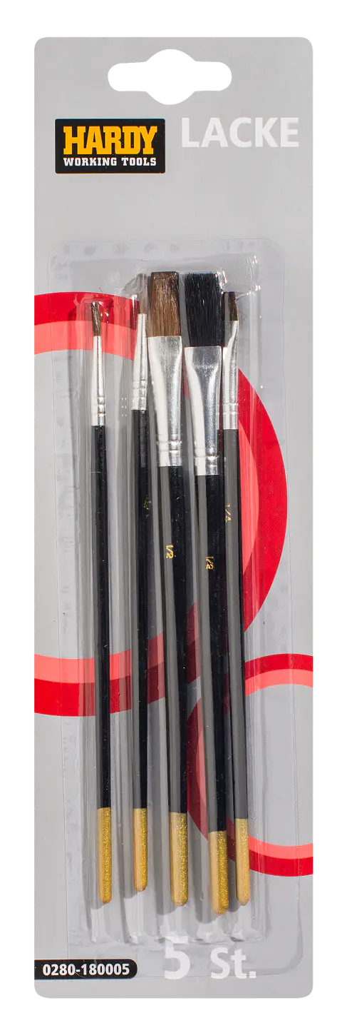 RINKINYS PLOKŠČIŲ IR APVALIŲ TEPTUKŲ HARDY MINI 5VNT