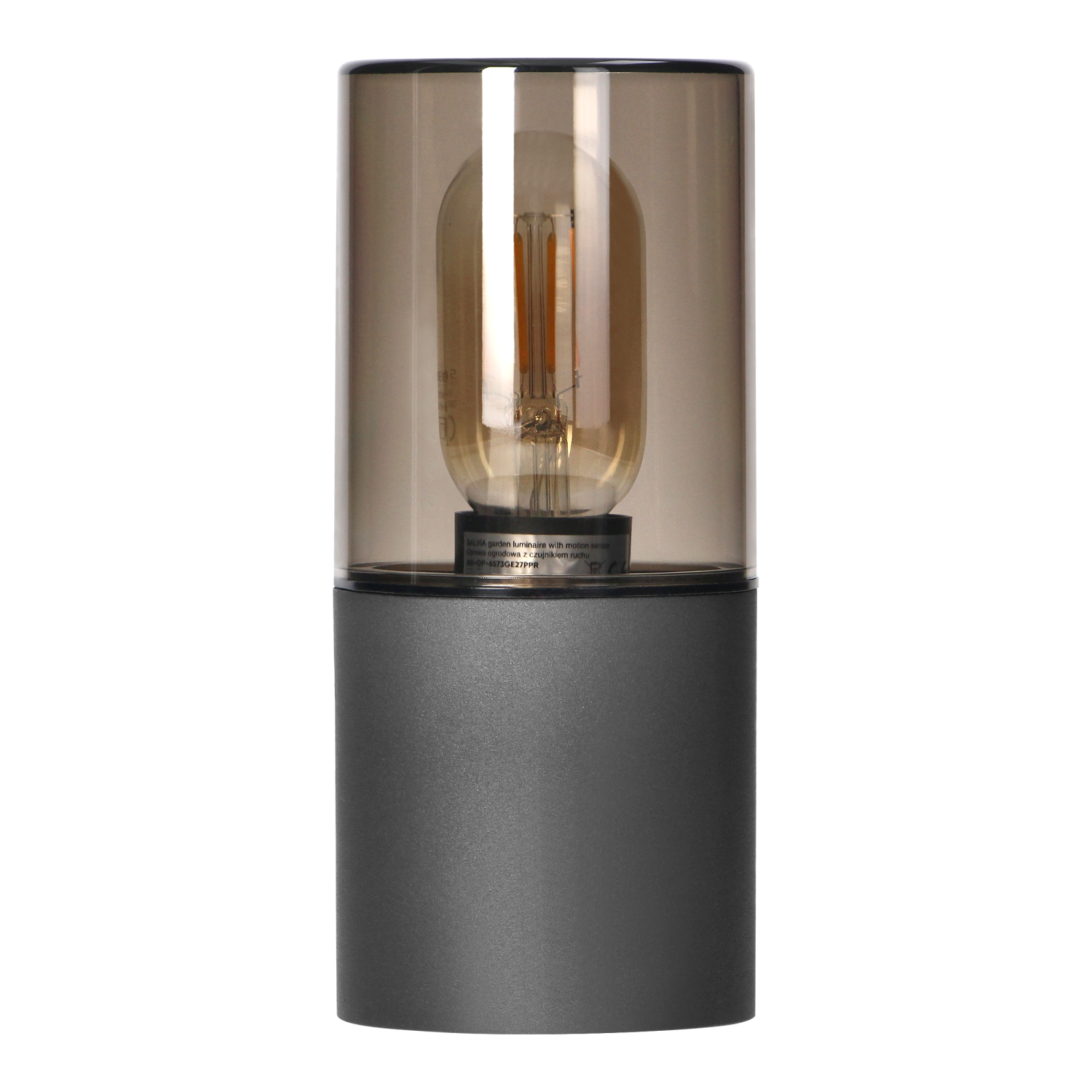 ŠVIESTUVAS LED SALVIA LAUKO SIENINIS E27 15W IP54 PILKAS