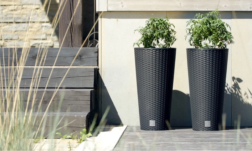 Antracito spalvos 30cm vazonas su pinto rotango dizainu lauko erdvėms