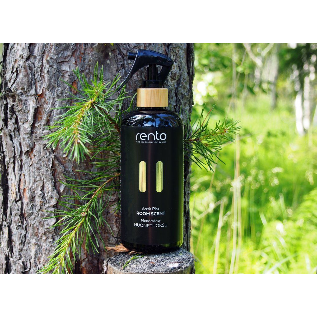 Arctic Pine aromatinis kvapas pirčiai ir vonios kambariui