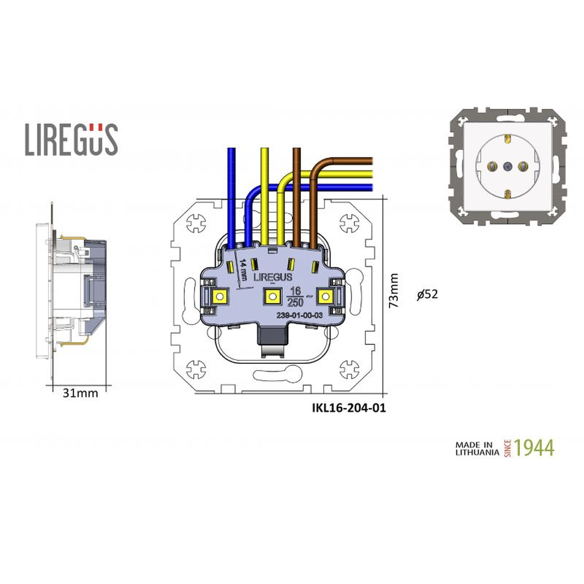 Liregus įžemintas elektros lizdas vintažinis dizainas