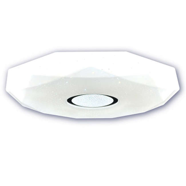 Reguliuojamas LED lubinis šviestuvas 24W su nuotolinio valdymo pultu SPECTOR LIGHT 17666S