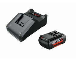 AKUMULIATORIUS BOSCH 36V+PAKROVĖJAS F016800609