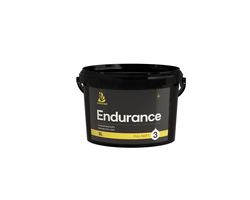 DAŽAI MATINIAI PLAUNAMI NOVEL ENDURANCE 3 9L