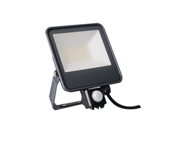 PROŽEKTORIUS IQ-LED FL-30W-NW-SE 3450LM 4000K KANLUX
