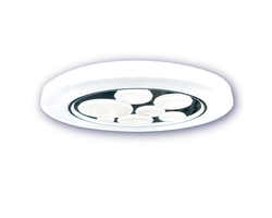 ŠVIESTUVAS LED 48W 3300LM 3000-6500K IP44 D-490MM